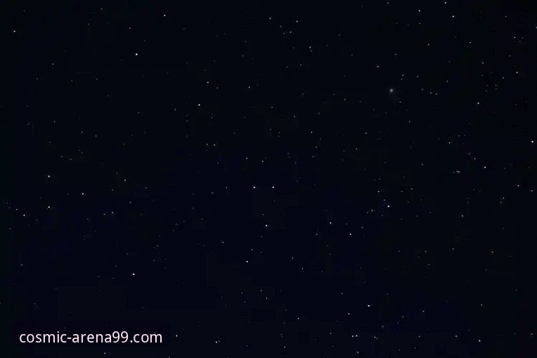 星空体育官网登录怎么样 星空体育官网登录实用指南:解锁极致竞技体验的必备知识